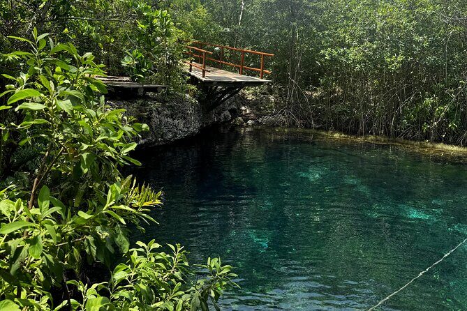 Tulum + 2 Cenotes & Authentic Taco Adventure - Price and value: what $260 per person buys you