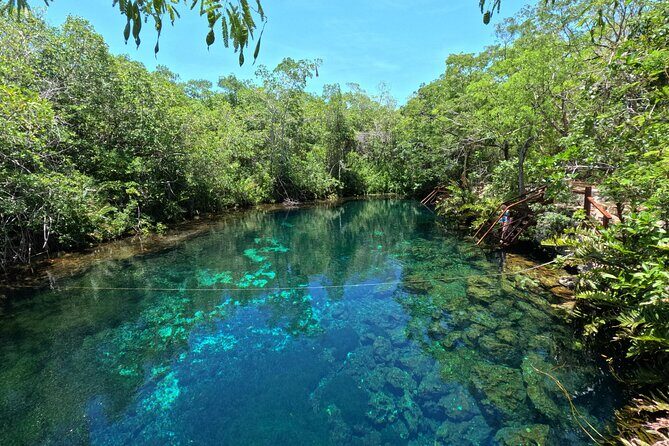 Tulum + 2 Cenotes & Authentic Taco Adventure - Should you book this private Tulum + Dos Ojos taco day?
