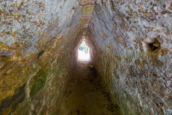 TULUM 4x1: Archaeological Zone, COBA, Cenote, 5th Avenue and lunch. - Sacred cenote: swim time, life jacket logistics, and what to confirm
