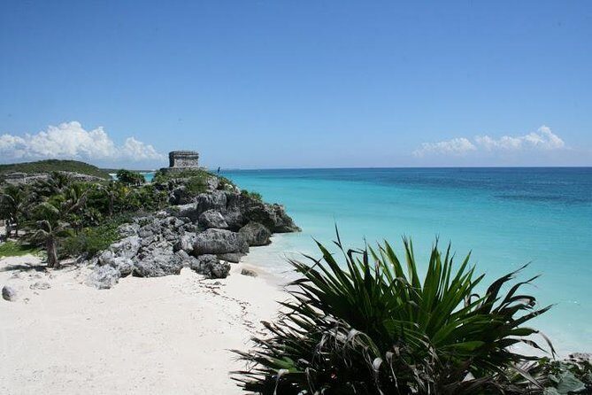 Tulum and Cenote Casa Tortuga Day Trip - Getting picked up: the 7:00 a.m. start that shapes your whole day