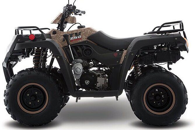 Tulum Area Experiences Guided ATV Tour to 3 Cenote's, Snorkel/Swim & Local Lunch - Gran Cenote: Your First Big Water Stop