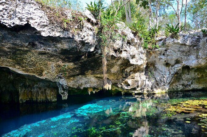 Tulum Area Experiences Guided E-Bike Tour- 3 Cenote's Snorkel/Swim & Local Lunch - Key highlights worth your attention