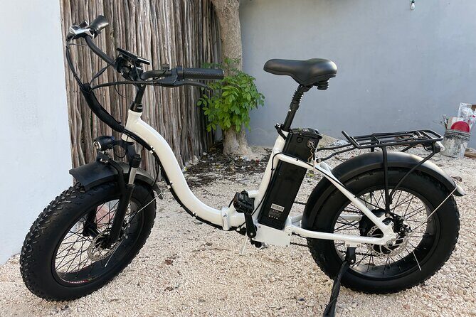 Tulum Area Experiences Guided E-Bike Tour- 3 Cenote's Snorkel/Swim & Local Lunch - Stop 2: Cenote Cristal, Jungle Stretch, and a Mayan Lunch