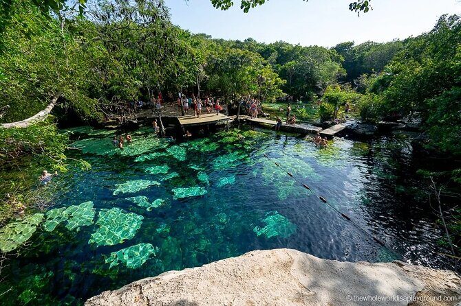 Tulum Area Experiences Guided E-Bike Tour- 3 Cenote's Snorkel/Swim & Local Lunch - E-Bike Riding in Tulum: What to Expect on the Ground