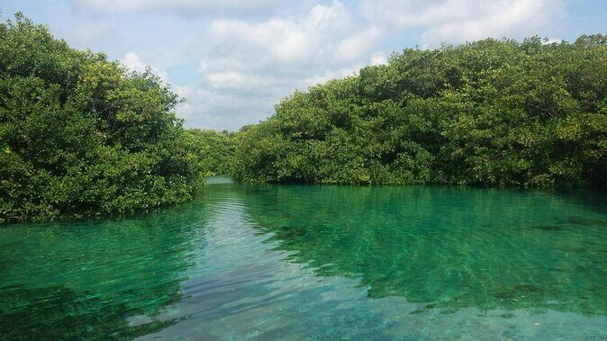 Tulum Area Experiences Guided Snorkeling Tour - Casa Cenote + Ocean Reef & Lunch - Quick hits before you go