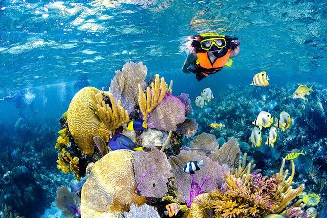 Tulum Area Experiences Guided Snorkeling Tour - Casa Cenote + Ocean Reef & Lunch - The ocean check: life jackets, rules, and what to expect in visibility