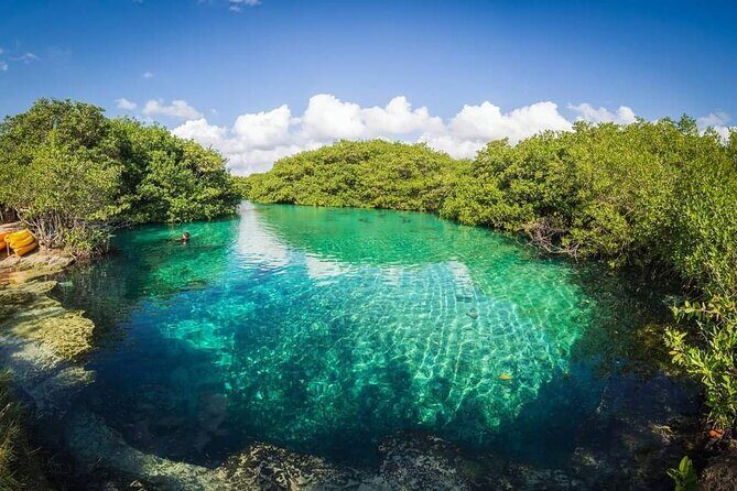 Tulum Area Experiences Guided Snorkeling Tour - Casa Cenote + Ocean Reef & Lunch - Casa Cenote: where freshwater meets ocean life