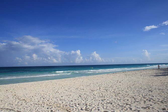 TULUM, CENOTE, MYSTIKA MUSEUM, TURTLES SNORKELING (Private) - Cenote Aktun Ha (Or Car Wash): Included Swim Time With Real Refresh