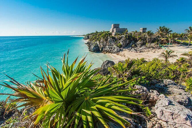 TULUM, CENOTE, MYSTIKA MUSEUM, TURTLES SNORKELING (Private) - Turtle Snorkeling: A Wildlife Moment Built Into The Schedule