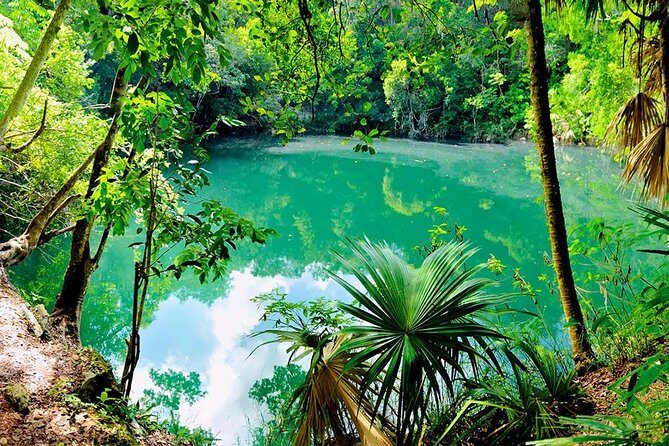 TULUM, CENOTE, MYSTIKA MUSEUM, TURTLES SNORKELING (Private) - Price And What You Get For $260 Per Person
