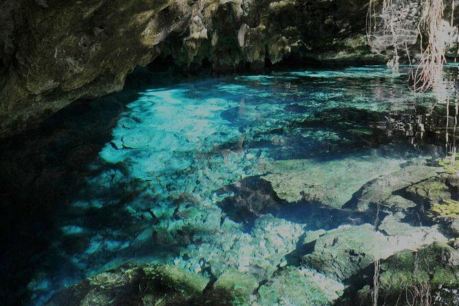 TULUM, CENOTE, MYSTIKA MUSEUM, TURTLES SNORKELING (Private) - Practical Tips To Make The Day Feel Easy