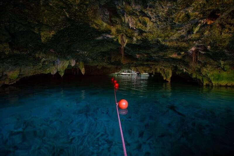 Tulum: Cenote Trail Bike Tour - Option 1: The 2-Cenotes & Brunch flow (Cristal + Escondido)