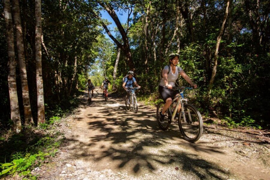 Tulum: Cenote Trail Bike Tour - Guides make or break it: safety, storytelling, and real attention