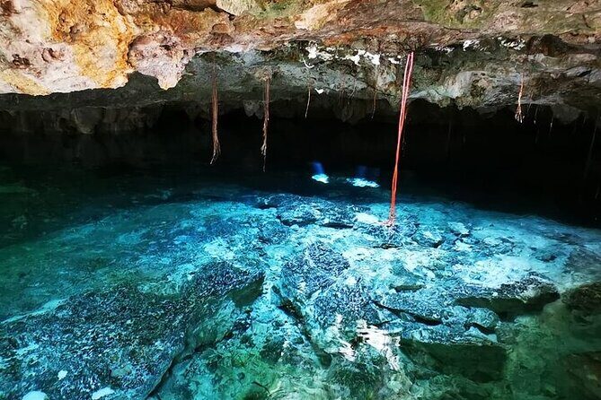 Tulum & Cenotes Private Tour - What the private format really changes for your group