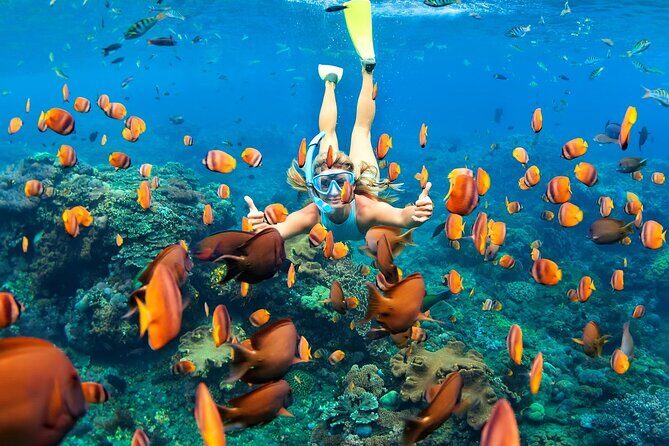 Tulum Day Trip: Pyramids + Reef Snorkel & Cenote Swim - Stop 3: Cenotes Labnaha & Eco Park, an Ancient Cave Swim