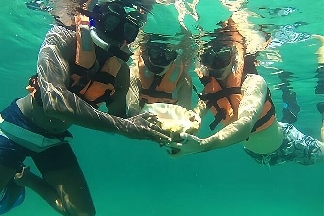 Tulum Day Trip: Pyramids + Reef Snorkel & Cenote Swim - Crew, Groups, and the Reality of a Big Operation