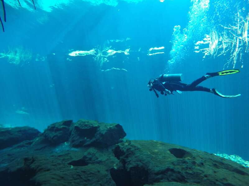Tulum: Discover Scuba Diving in Cenotes - Key highlights worth your attention