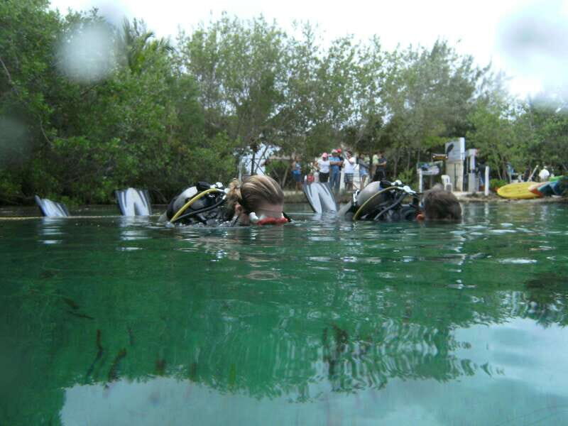 Tulum: Discover Scuba Diving in Cenotes - The Cenote Lagoon Experience: Why This Spot Works for First-Timers