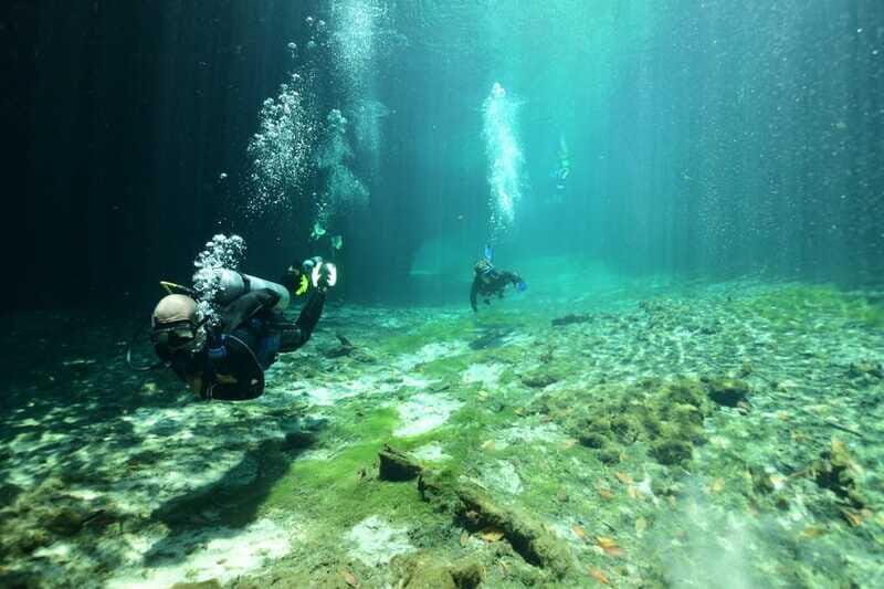 Tulum: Discover Scuba Diving in Cenotes - Meeting Point in Tulum: Where to Go and How to Think About Timing