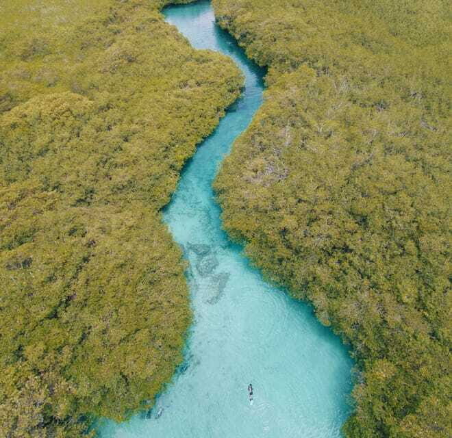 Tulum: Discover Scuba Diving in Cenotes - The Right Kind of Scuba in Cenotes for You