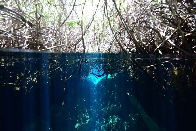Tulum: Discover Scuba Diving in Cenotes - The 30-Minute Safety Class: Short, Practical, and Focused