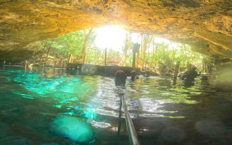 Tulum: Dos Ojos Cenote 2 Scuba Dives with Transfer Option - Transfers and meeting points: get there without stress