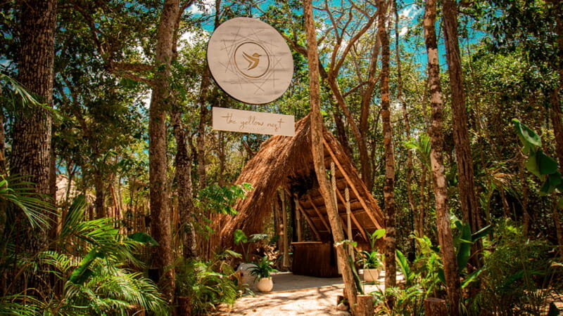 Tulum: Floating Breakfast in The Yellow Nest (Day Pass) - Yoga and welcome drink: warming up before the quiet work