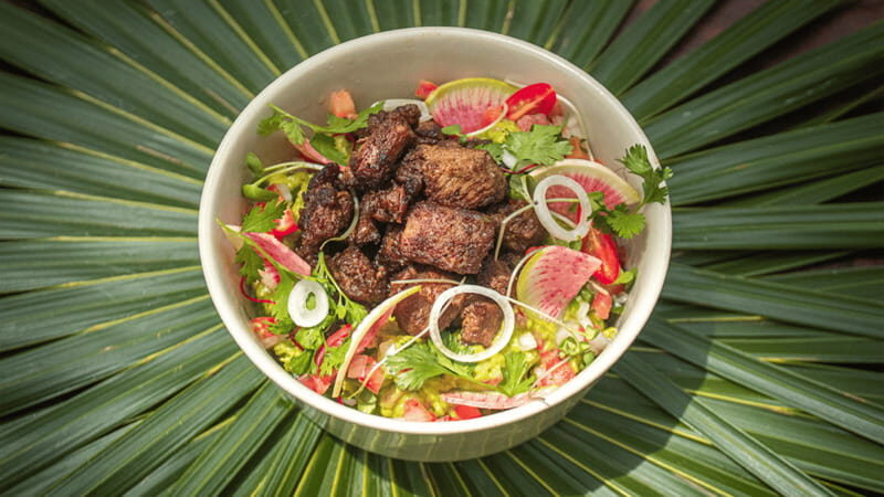 Tulum: Floating Breakfast in The Yellow Nest (Day Pass) - Time on the grounds: photo stops, free time, and access to the Toh