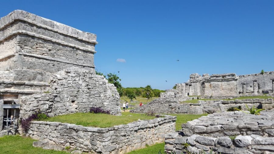 Tulum: Guided Bike Tour of Tulum Ruins, Tacos & Cenote - Maya beekeeping at Melipona: calm stingless bees and real honey tasting