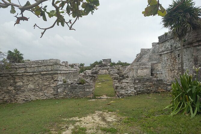 Tulum Guided Tour and Cenote Swim from Playa del Carmen - Who should book this Tulum and cenote combo