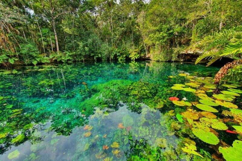 Tulum: Half-Day Adventure Zip line Cenote in Mayan Community - Zipline Time: Three Runs, Real Views, and Safety First