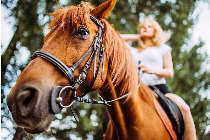 Tulum Jungle Horseback Ride + Cenote Dip & Traditional Lunch - Price And Value: Why $109 Can Make Sense