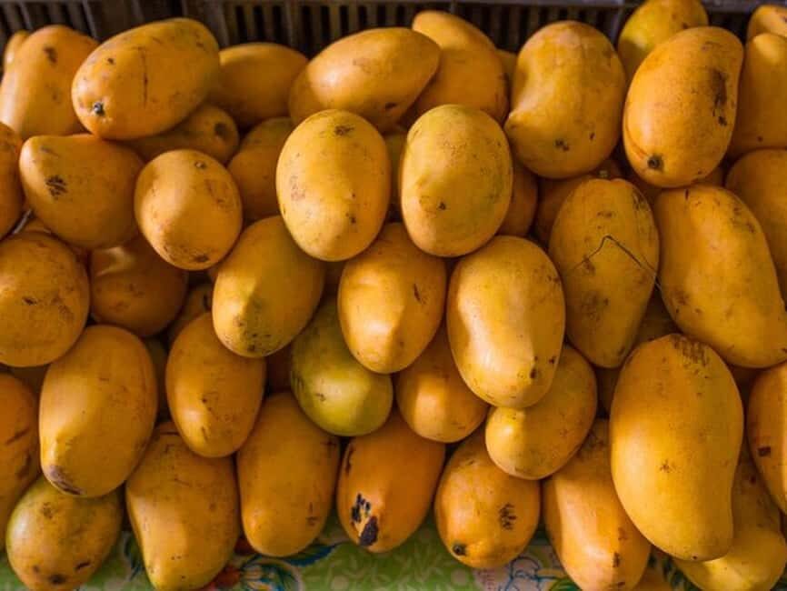 Tulum: Mexican Cooking Class in Local Home - Should you book Rivera Kitchen Tulum?