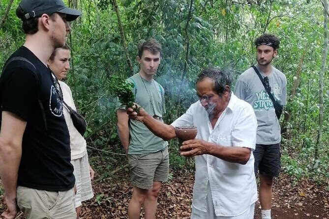 Tulum Monkey Sanctuary Tour Punta Laguna - Stop 1 at Punta Laguna Nature Reserve: walk, zipline, canoe, and Cenote Calavera lead-in