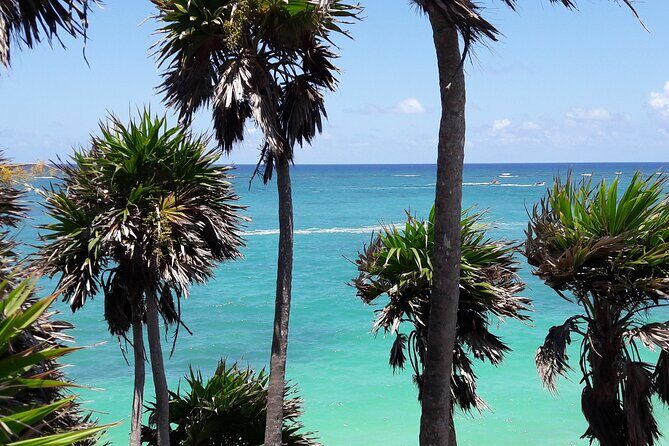 Tulum Private Boat Tour & Turtle Snorkeling Experience - Who This Tour Fits Best (and Who Should Reconsider)