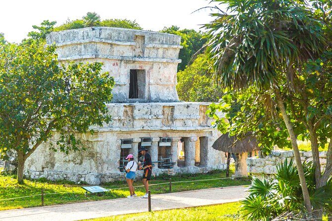 Tulum Ruins, Cenote Cave and Swimming with Turtles From Tulum - Akumal Beach and sea turtles: seeing them well takes rules and patience