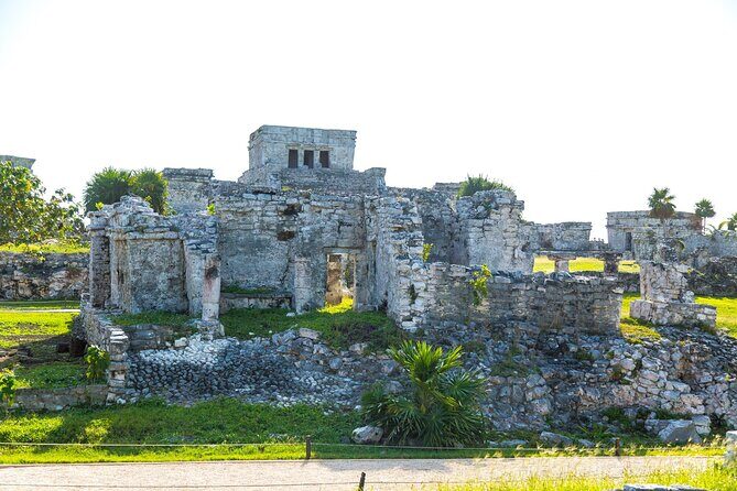 Tulum Ruins, Cenote Cave and Swimming with Turtles From Tulum - Shared group reality: language, pacing, and how to avoid losing time