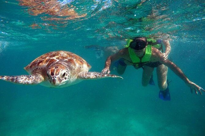 Tulum ruins swim with turtles in Akumal and Cenote - How This Tulum–Akumal–Caracol Day Trip Actually Works