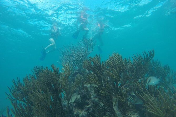 Tulum ruins swim with turtles in Akumal and Cenote - Tulum Ruins: Maya Port-City Energy in 90 Minutes