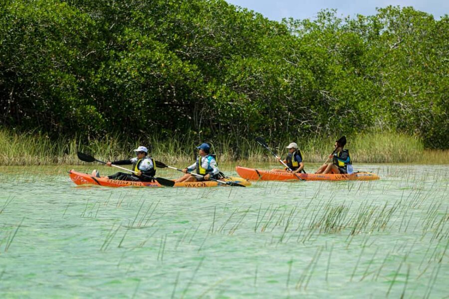 Tulum: Sian Ka'an Biosphere Reserve Kayak Tour - Getting there from Tulum: early pickup, straightforward half-day timing
