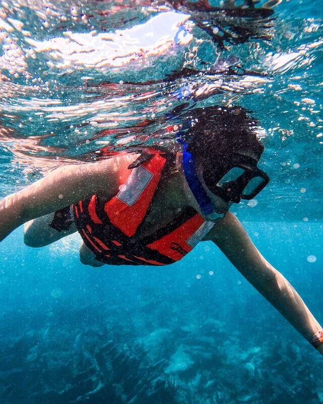 Tulum: Snorkeling at Paradise Reef - Paradise Reef snorkeling feels effortless because everything is handled