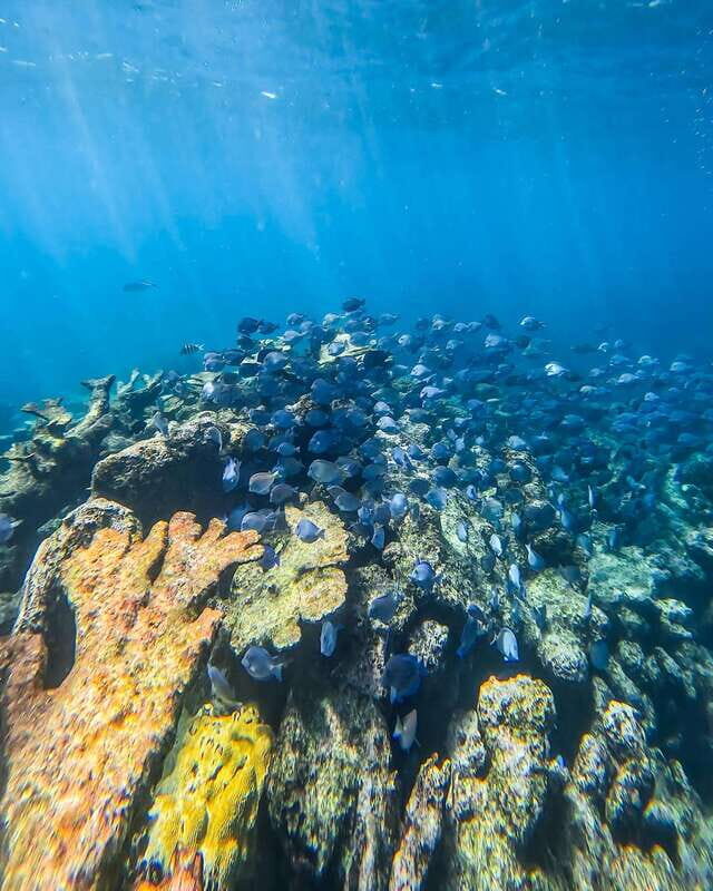 Tulum: Snorkeling at Paradise Reef - The quick ruins photo stop: why it’s worth the short detour