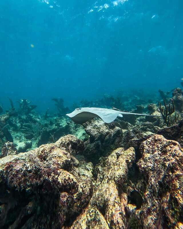 Tulum: Snorkeling at Paradise Reef - After the snorkel: back to shore and beach time
