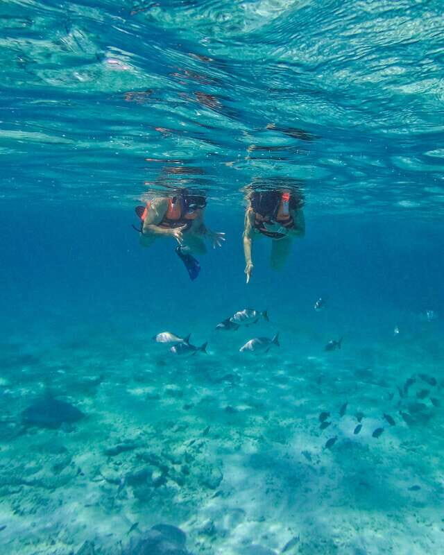 Tulum: Snorkeling at Paradise Reef - Who should book this Tulum snorkeling trip