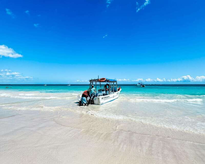 Tulum: Sport Fishing Experience with Ceviche - Price and value: $255 per person plus the Parque del Jaguar fee