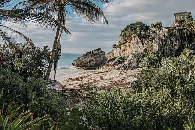 Tulum Transportation Service 24/7 The Most Reliable and safe. - Reliability and Safety: The 24/7 Part You’ll Appreciate