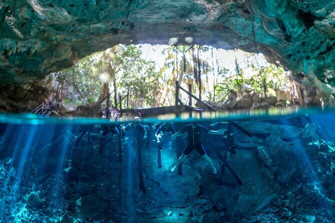 Tulum Turtle Encounter - The Best Private Turtles Snorkel Tour - The turtle snorkeling spot: the part you came for