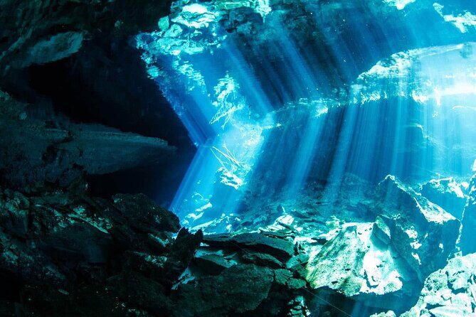 Tulum Turtle Encounter - The Best Private Turtles Snorkel Tour - The real value of paying $299 per person (and when it’s worth it)
