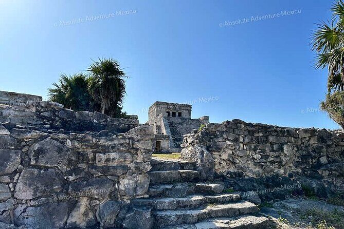 Tulum VIP Private Tour with Sea Turtles & Cenote – Award-Winning - Akumal Beach snorkeling from shore: sea turtles up close