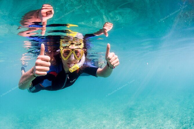 Tulum VIP Private Tour with Sea Turtles & Cenote – Award-Winning - Who this tour fits (and who should skip it)